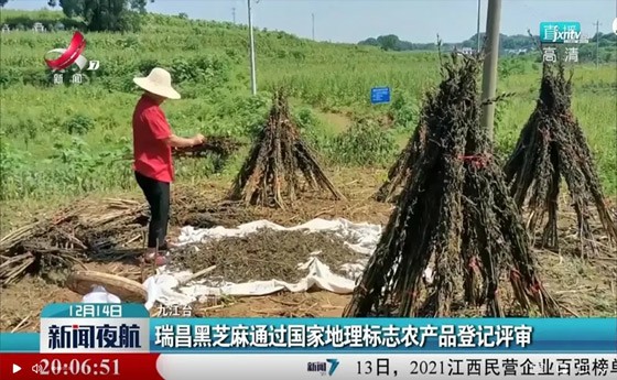 喜訊！“瑞昌黑芝麻”通過(guò)國(guó)家地理標(biāo)志農(nóng)產(chǎn)品登記評(píng)審！